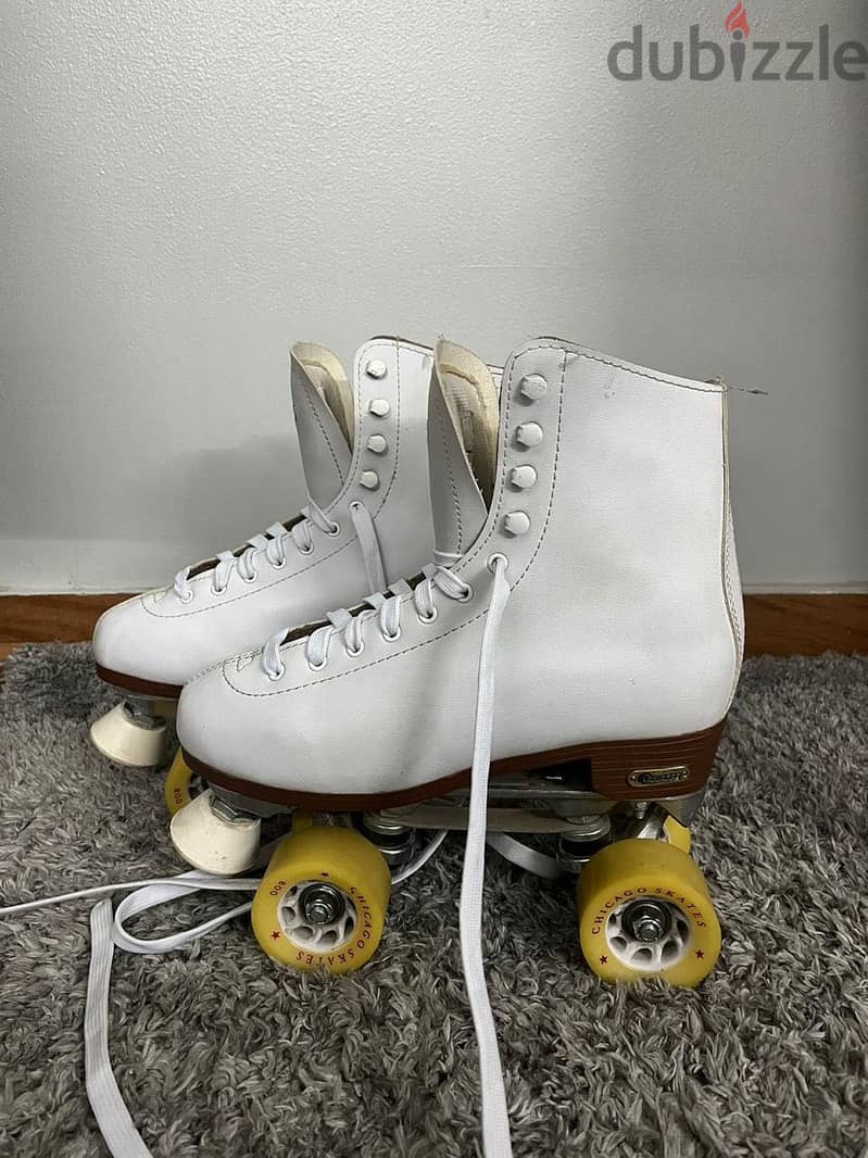 Chicago skates 5