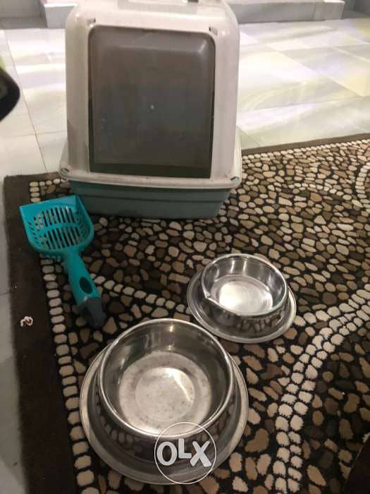 cat litter box and plates 1