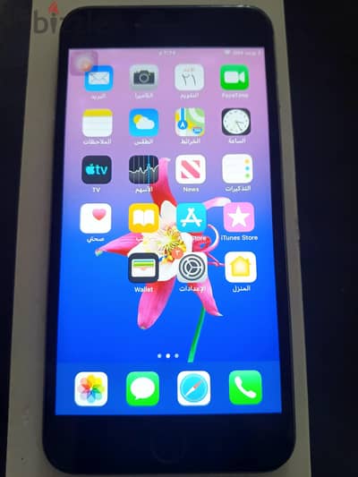 آبل - آيفون 6 بلس
