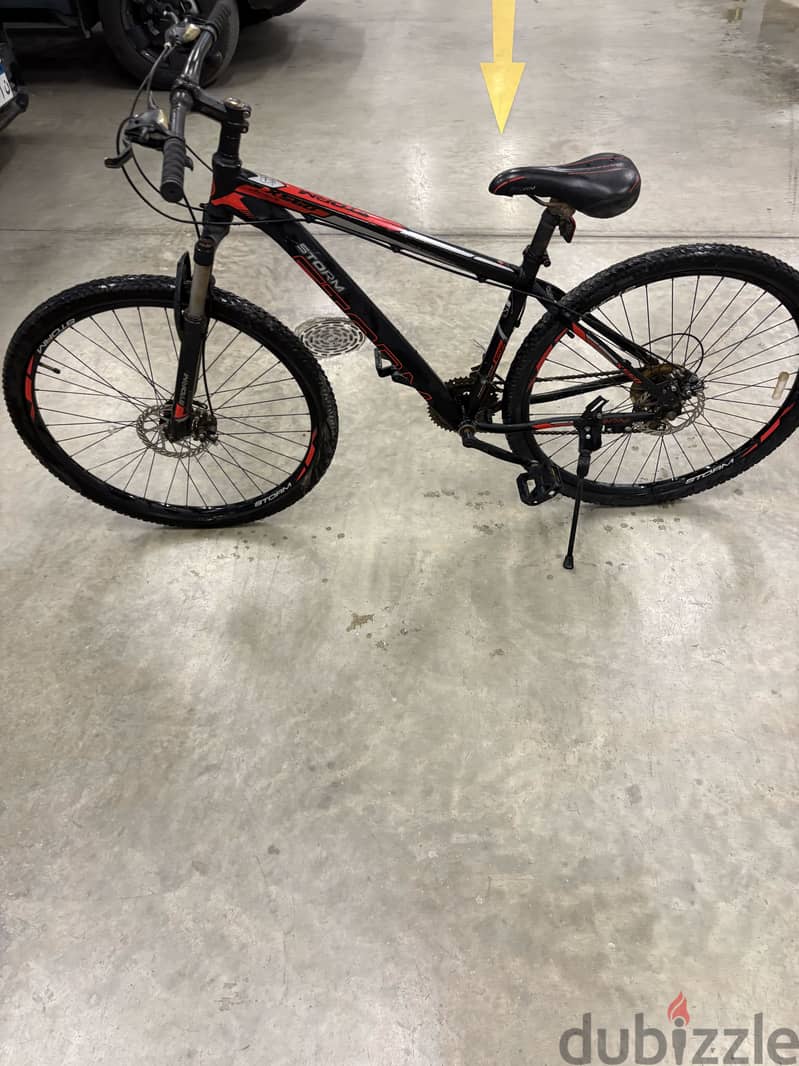 storm bicycle | recently restored 1