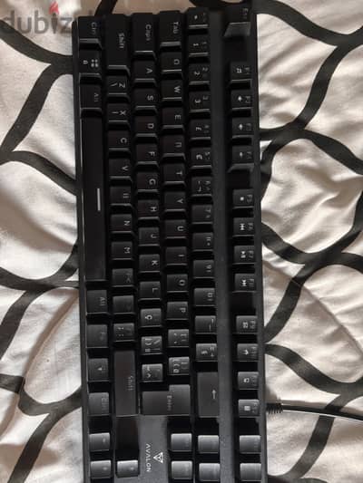 Avalon TKL keyboard blue switch