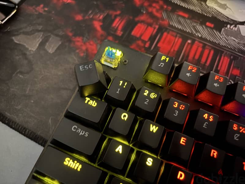 Avalon TKL keyboard blue switch 2