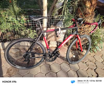 trinx tempo 1.4 2021
