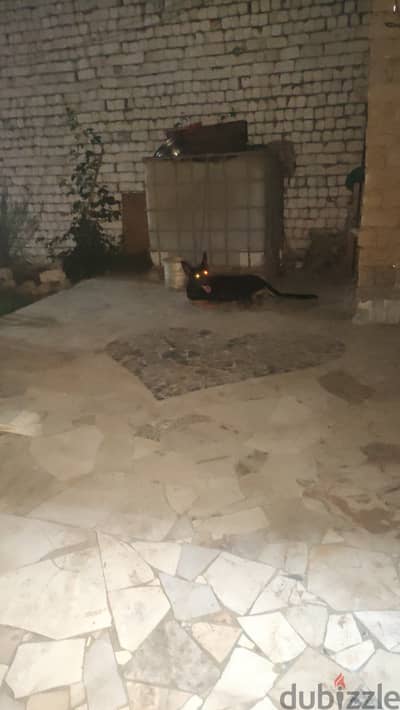 للتبادل أو التبادل
