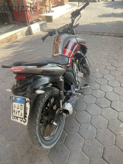 مباشر