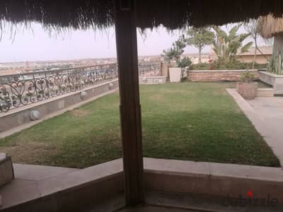 For Rent | Luxurious Furnished Studio Apartment Directly Opposite Cairo Festival City