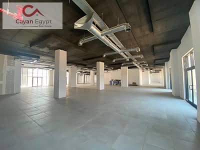 Flexible 6,500 sqm Administrative Office for Rent | White Box Finish