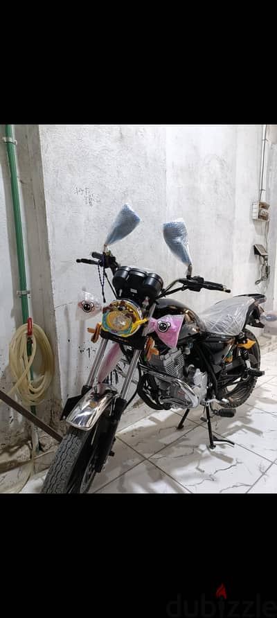 هوجن 3 ارنبه سوداء