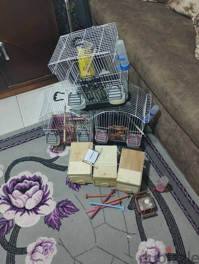 مستلزمات طيور