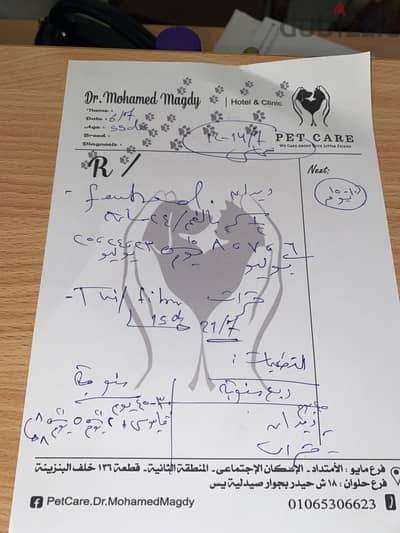 جرو مالينو مطعم ديدان و حشرات عمر تلات شهور دم حامي