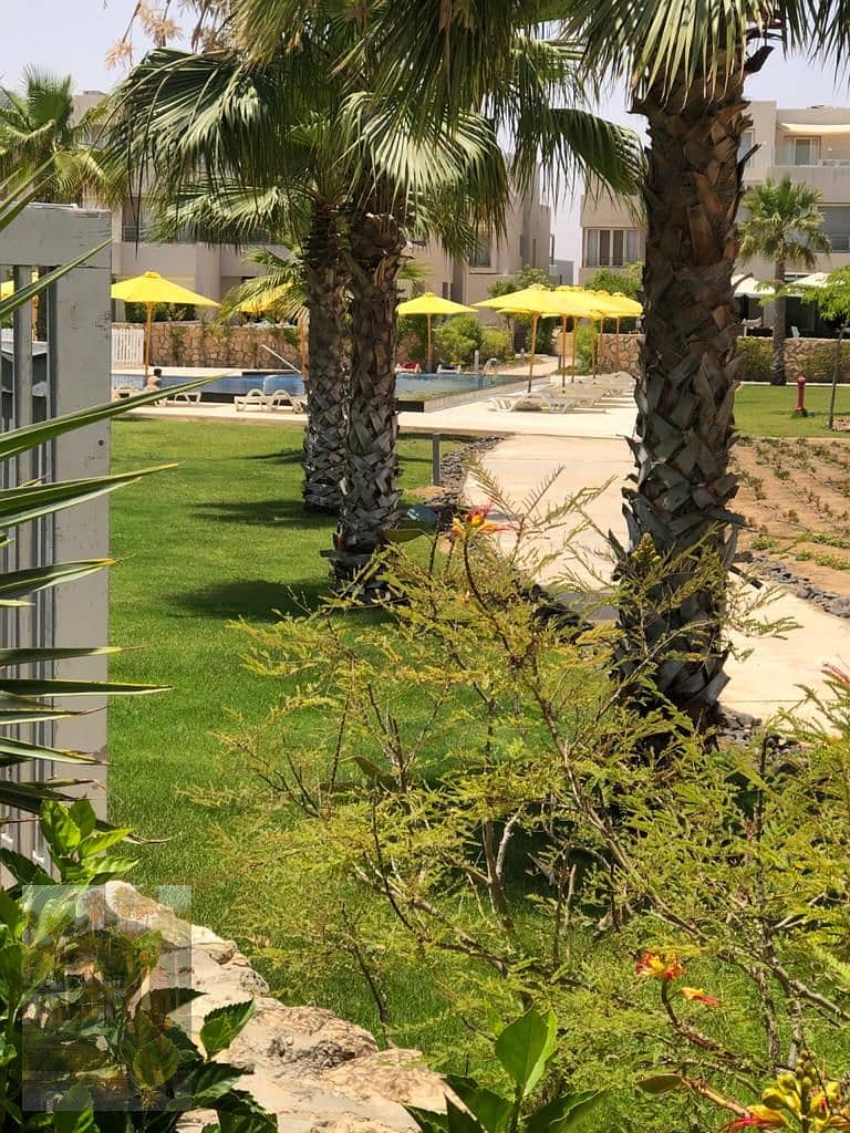 شاليه بـ٣ غرف نوم في هاسيندا باي، صورة ٤ من ١١