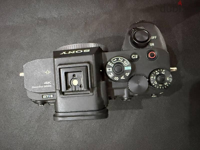 Sony a7s III 3
