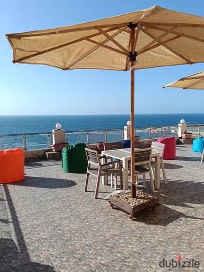 شقه للايجار اليومي بالإسكندرية في المندرة