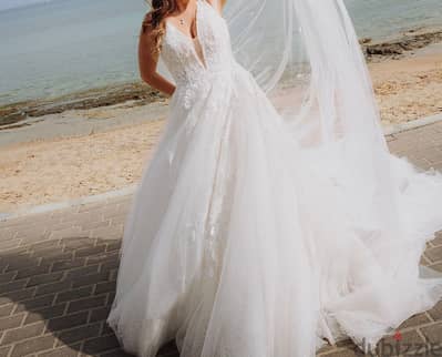 Pronovias - Princess wedding dress with a V-neckline and round back