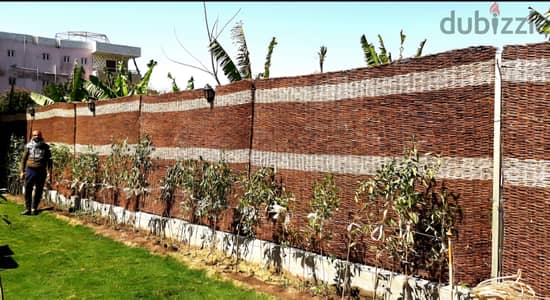 اسوار وتند التمر حنه
