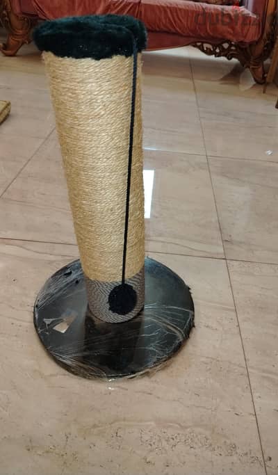 cat scratcher and toy