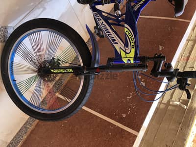 قليوب المحطه شارع المساحه بجوار مسجد البركه