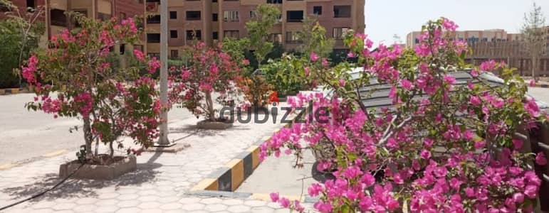 110m Ultra Super Lux apartment for 1,650,000 in the Egyptian House Compound, 6th of October City, on the main road, 2nd floor, immediate delivery, fully equipped with utilities, near Zewail University and the ring road 110m Ultra Super Lux apartment for 1,650,000 in the Egyptian House Compound, 6th of October City, on the main road, 2nd floor, immediate delivery, fully equipped with utilities, near Zewail University and the ring road