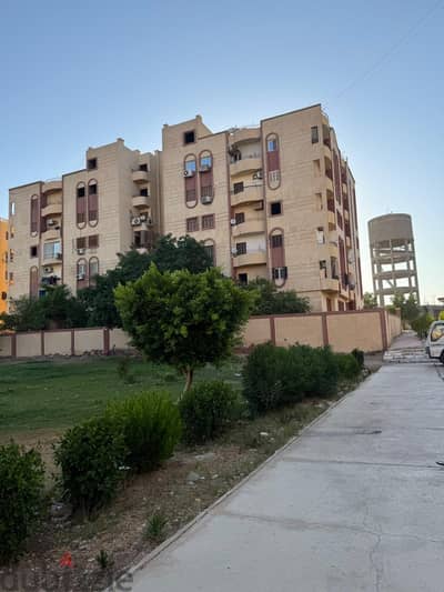 شقة مميزة  للبيع في المستثمر الصغير – بأسيوط الجديدة