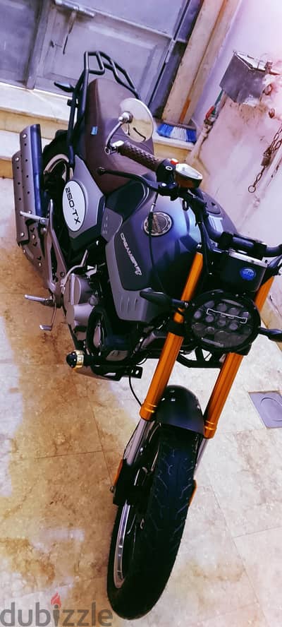 هوجان TX250 cc 2026