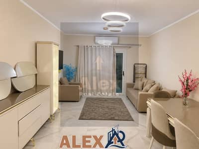 Furnished apartment in Downtown Alamein fully air-conditioned