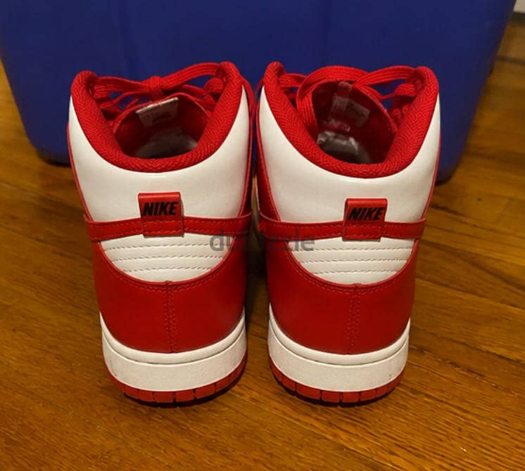 Nike dunks 2