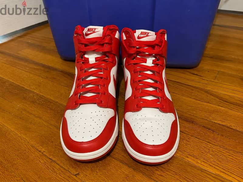 Nike dunks 3