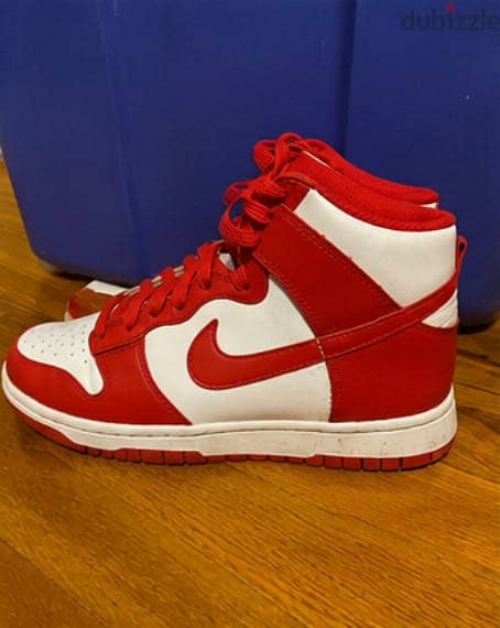Nike dunks 4