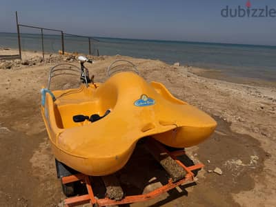 بدال امريكى تحفة
