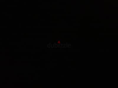 محتاج كلب للتبني