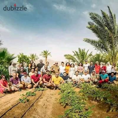فرصه لمن يرغب الاستثمار الزراعي مزرعه للبيع 9 فدان كامله الخدمات والمرافق