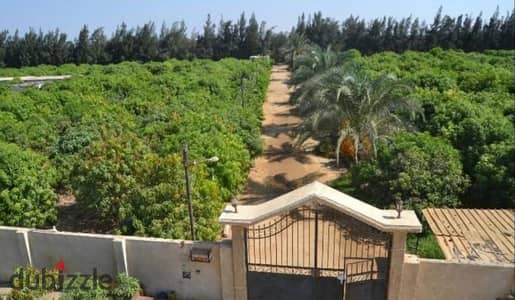فرصه لمن يرغب الاستثمار الزراعي مزرعه للبيع 9 فدان كامله الخدمات والمرافق
