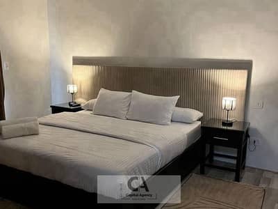 Apartment Modern for Rent in Eastown furnished Apartment Modern for Rent in Eastown furnished
