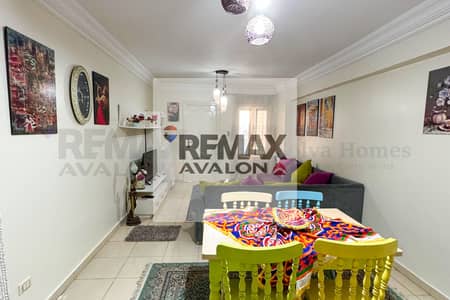 Furnished Apartment for Rent in (Sporting – Luxor Street)