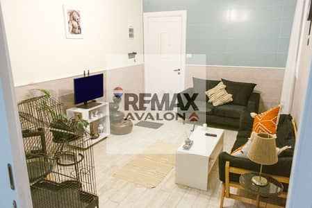 Furnished Apartment for Rent in (Sporting – Port Said Main Street)