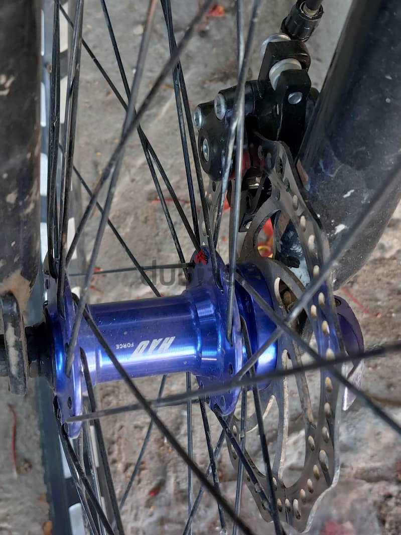 Phoenix Prix 2611 5