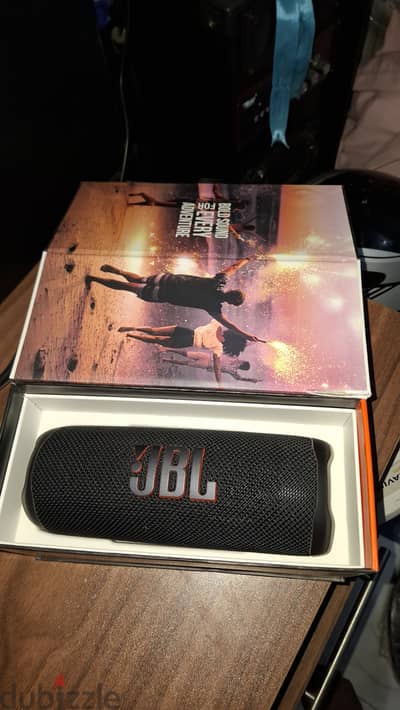 JBL flip6