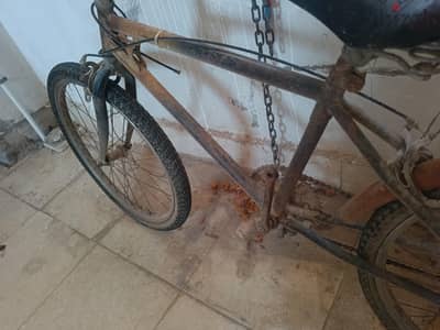 عجله BMX مقاس 24
