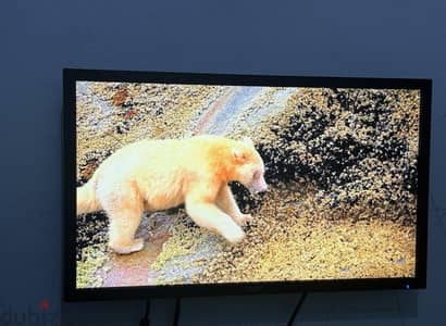 شاشة Acer LED مقاس 27 بوصة Full HD بحالة ممتازة