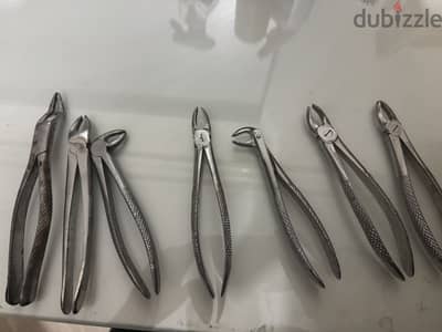٧ Forceps كلابة للأسنان باكستاني