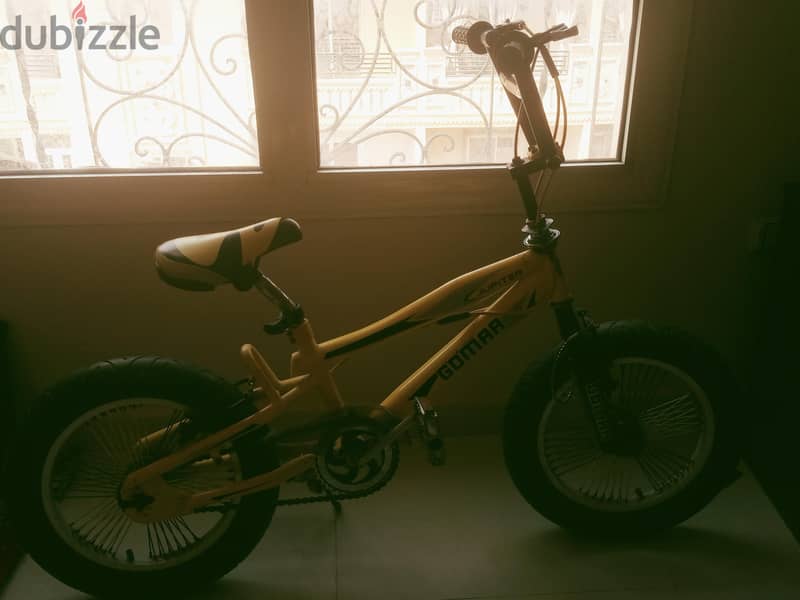 gomma Jupiter 5