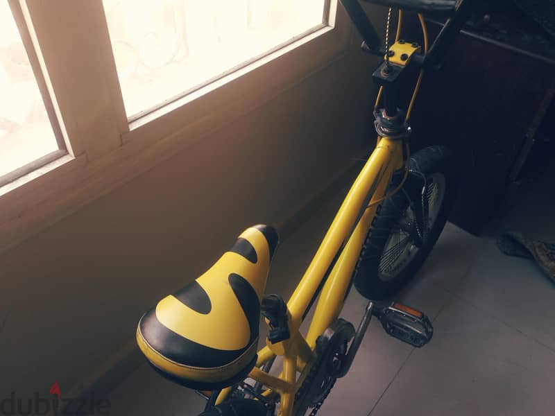 gomma Jupiter 6