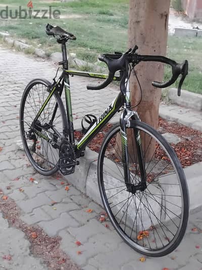 للبيع Trinx tempo 1.0