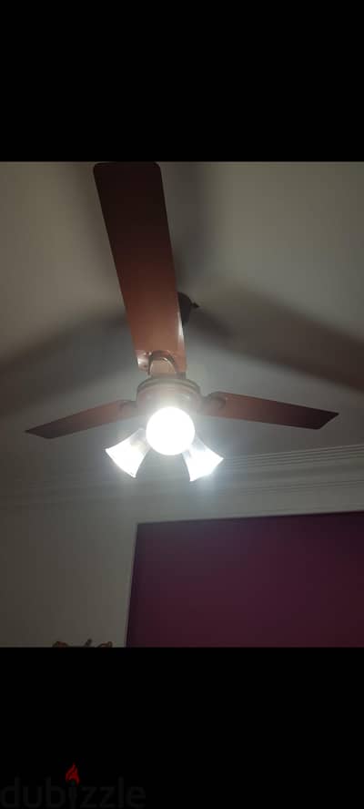 مروحه سقف استعمال اسبوع فقط