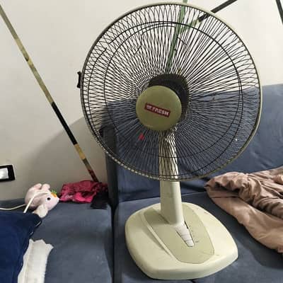 القاهره