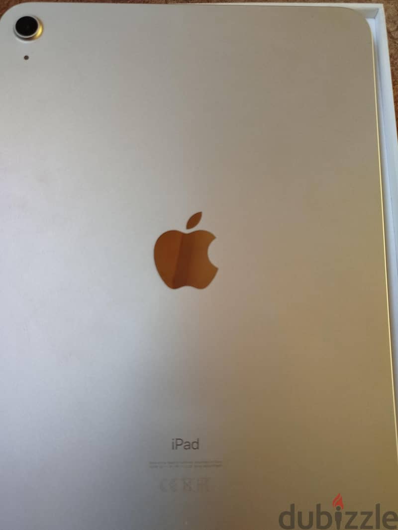 Ipad 10th generation 256g 1