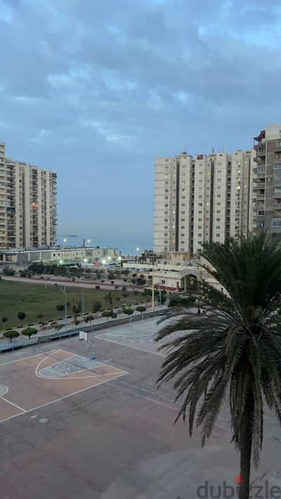 شقه للبيع بالاسكندريه العصافره بحري