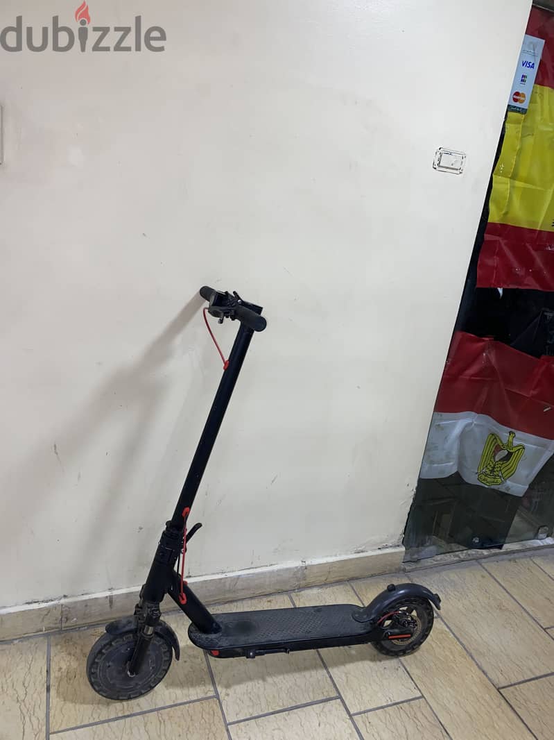 Scoter 5