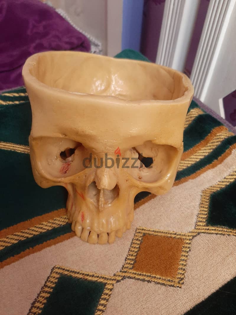 skull 2