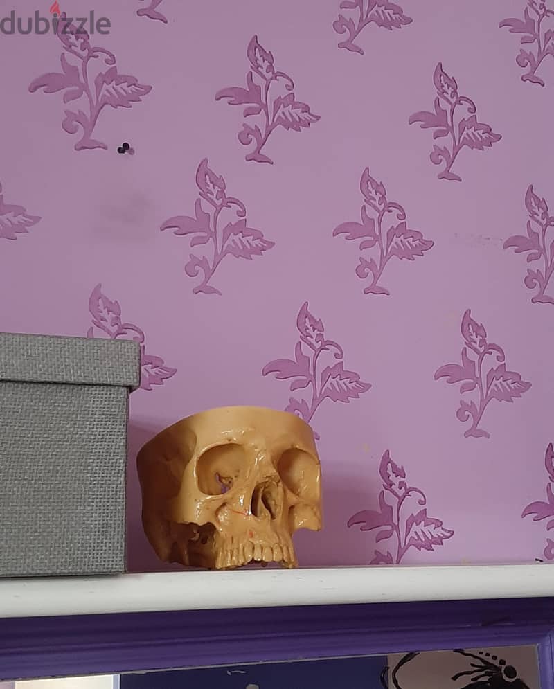 skull 4